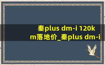 秦plus dm-i 120km落地价_秦plus dm-i 120km和55km对比